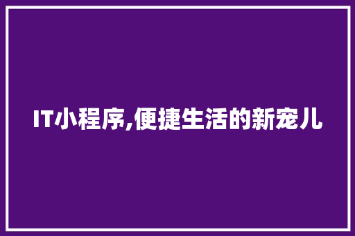 IT小程序,便捷生活的新宠儿 必应SEO