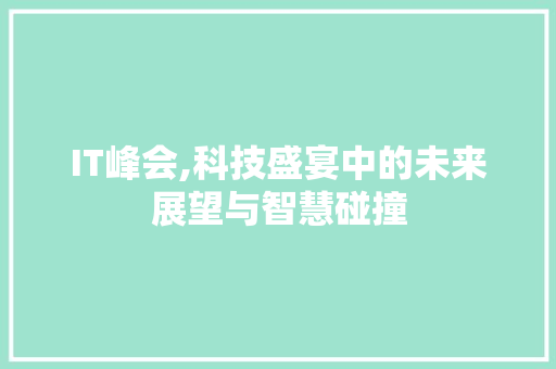 IT峰会,科技盛宴中的未来展望与智慧碰撞