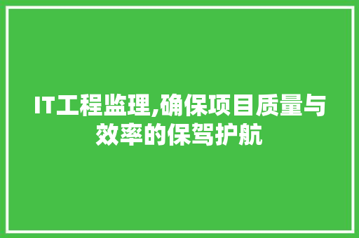 IT工程监理,确保项目质量与效率的保驾护航 百度SEO