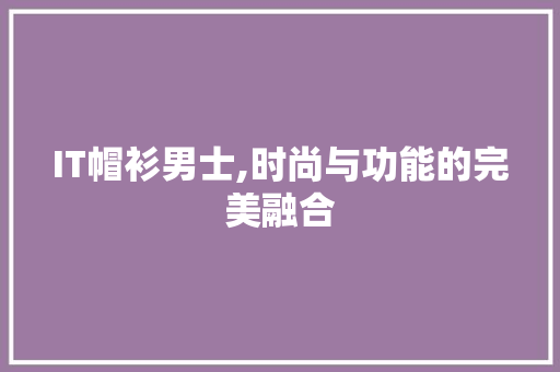 IT帽衫男士,时尚与功能的完美融合 神马SEO