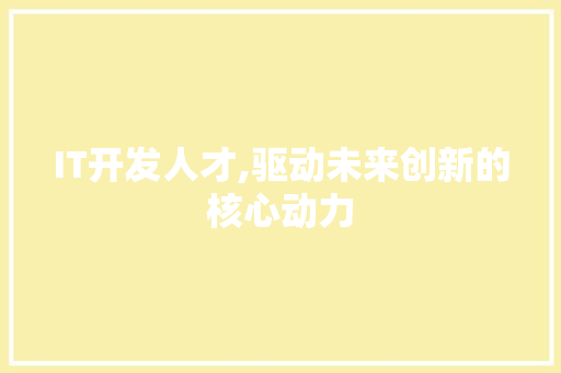 IT开发人才,驱动未来创新的核心动力