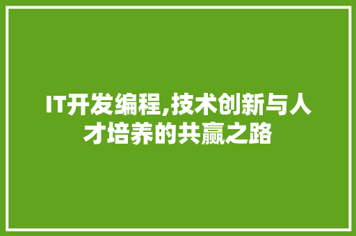 IT开发编程,技术创新与人才培养的共赢之路