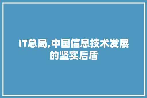 IT总局,中国信息技术发展的坚实后盾 GoogleSEO