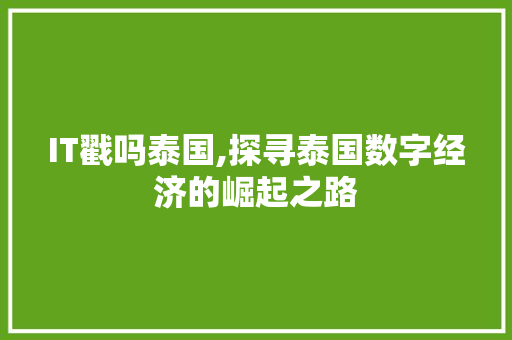 IT戳吗泰国,探寻泰国数字经济的崛起之路
