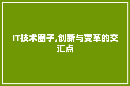 IT技术圈子,创新与变革的交汇点