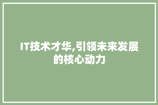 IT技术才华,引领未来发展的核心动力 百度SEO