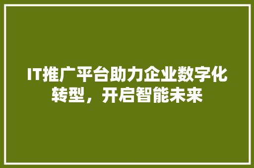 IT推广平台助力企业数字化转型，开启智能未来