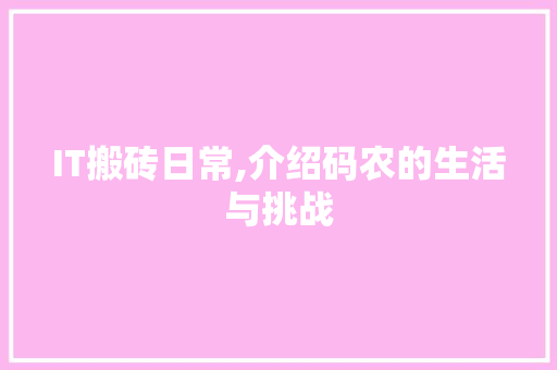 IT搬砖日常,介绍码农的生活与挑战