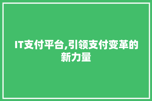 IT支付平台,引领支付变革的新力量 必应SEO