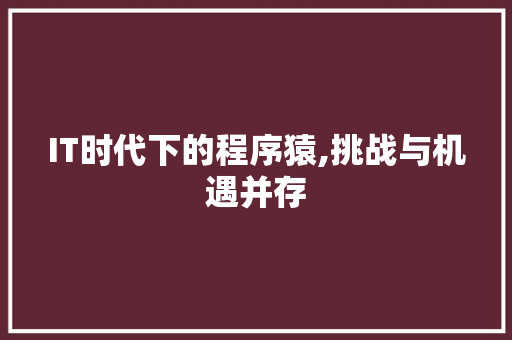 IT时代下的程序猿,挑战与机遇并存