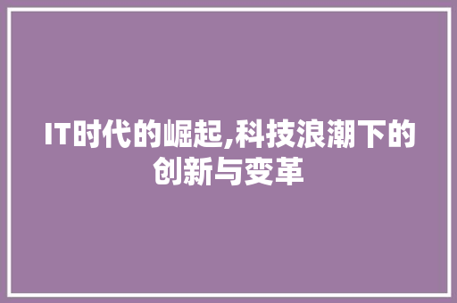 IT时代的崛起,科技浪潮下的创新与变革