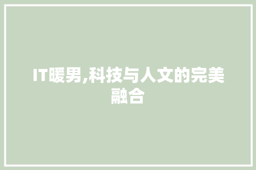 IT暖男,科技与人文的完美融合