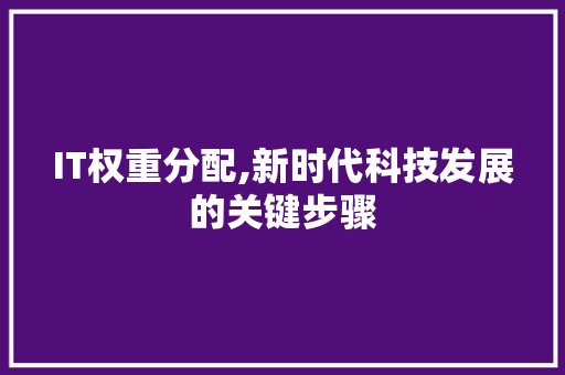 IT权重分配,新时代科技发展的关键步骤