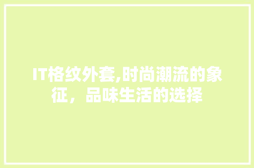 IT格纹外套,时尚潮流的象征，品味生活的选择 百度SEO