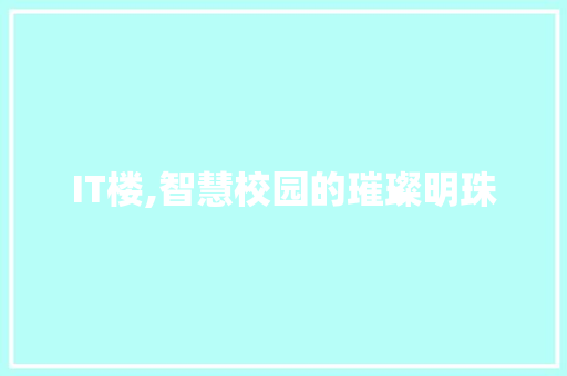 IT楼,智慧校园的璀璨明珠