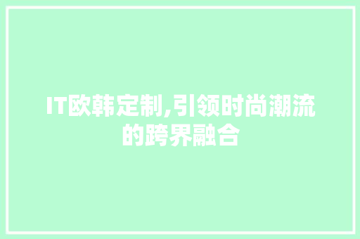 IT欧韩定制,引领时尚潮流的跨界融合