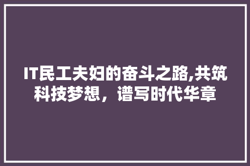 IT民工夫妇的奋斗之路,共筑科技梦想，谱写时代华章
