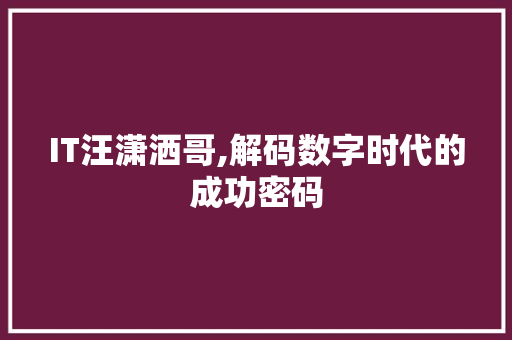 IT汪潇洒哥,解码数字时代的成功密码