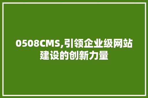 0508CMS,引领企业级网站建设的创新力量 百度SEO