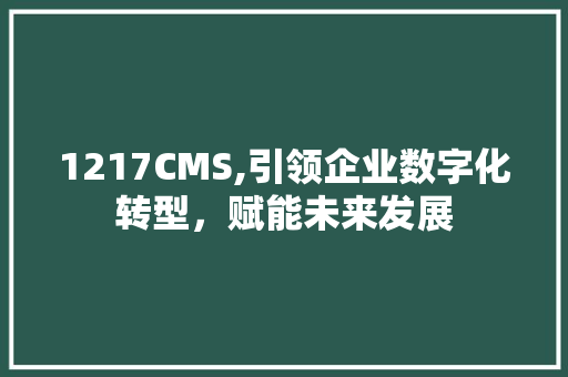 1217CMS,引领企业数字化转型，赋能未来发展 神马SEO