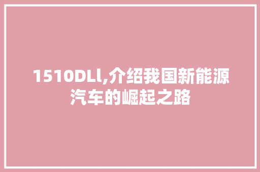 1510DLl,介绍我国新能源汽车的崛起之路 搜狗SEO