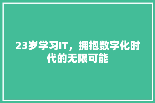 23岁学习IT，拥抱数字化时代的无限可能 必应SEO