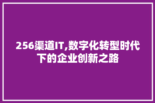 256渠道IT,数字化转型时代下的企业创新之路 GoogleSEO
