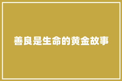 5e引擎,引领游戏开发新潮流的DLL技术介绍 百度SEO