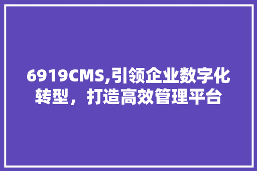 6919CMS,引领企业数字化转型，打造高效管理平台 必应SEO