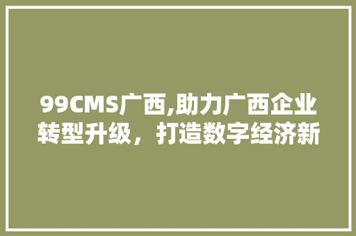 99CMS广西,助力广西企业转型升级，打造数字经济新引擎 百度SEO