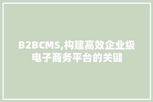 B2BCMS,构建高效企业级电子商务平台的关键 必应SEO