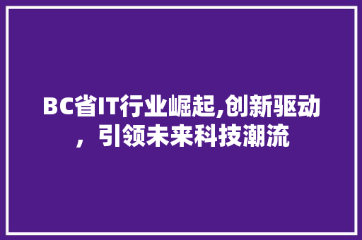 BC省IT行业崛起,创新驱动，引领未来科技潮流 百度SEO