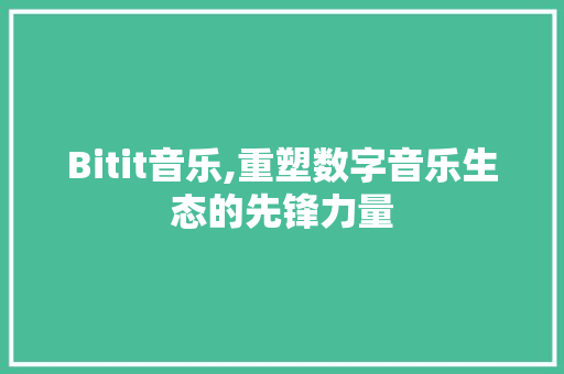 Bitit音乐,重塑数字音乐生态的先锋力量 搜狗SEO