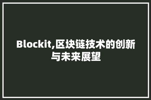 Blockit,区块链技术的创新与未来展望 必应SEO