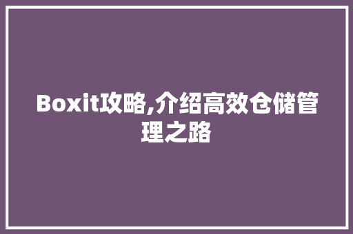Boxit攻略,介绍高效仓储管理之路 百度SEO