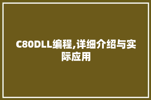 C80DLL编程,详细介绍与实际应用 百度SEO