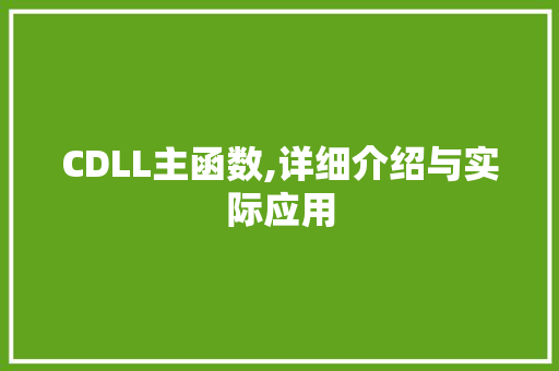 CDLL主函数,详细介绍与实际应用 必应SEO