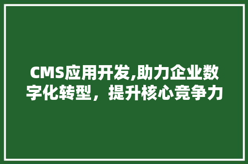 CMS应用开发,助力企业数字化转型，提升核心竞争力 GoogleSEO