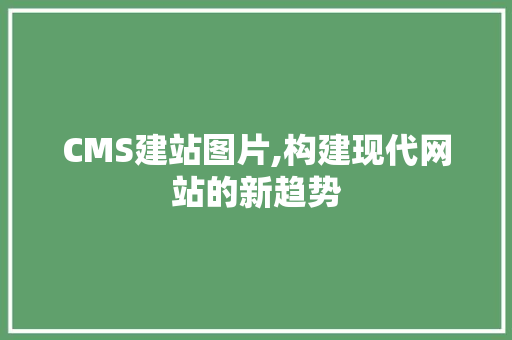 CMS建站图片,构建现代网站的新趋势 GoogleSEO
