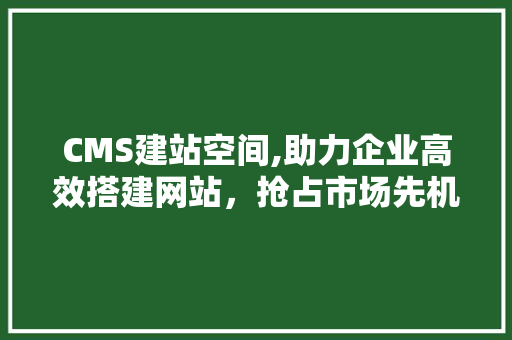 CMS建站空间,助力企业高效搭建网站，抢占市场先机 GoogleSEO