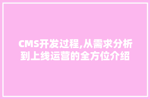 CMS开发过程,从需求分析到上线运营的全方位介绍 必应SEO