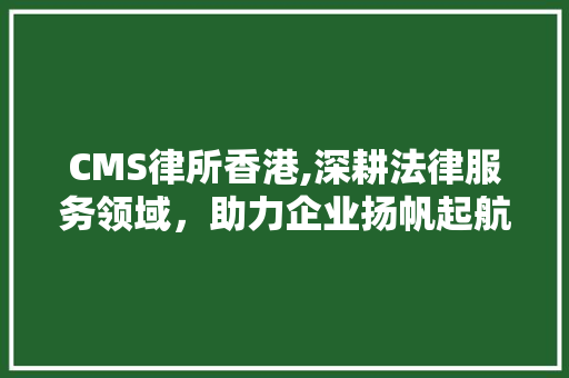 CMS律所香港,深耕法律服务领域，助力企业扬帆起航 必应SEO