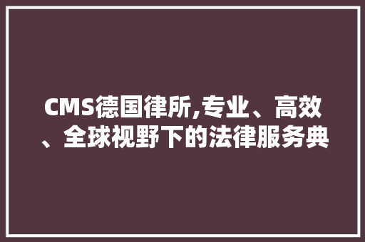 CMS德国律所,专业、高效、全球视野下的法律服务典范 GoogleSEO