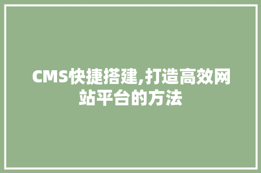 CMS快捷搭建,打造高效网站平台的方法 百度SEO