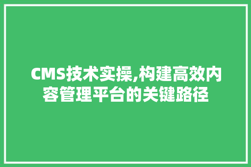 CMS技术实操,构建高效内容管理平台的关键路径 神马SEO