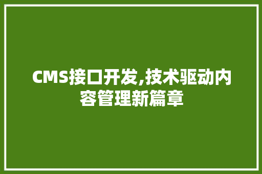 CMS接口开发,技术驱动内容管理新篇章 神马SEO