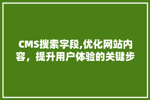 CMS搜索字段,优化网站内容，提升用户体验的关键步骤 必应SEO