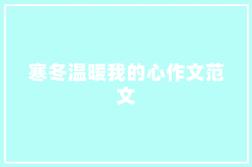 CMS教程,探索内容管理系统的新境界 神马SEO