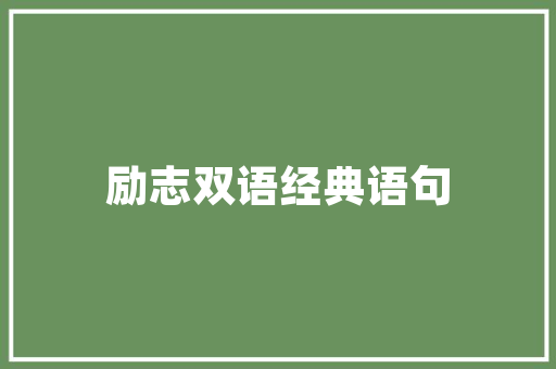 CMS教程,详细浅出，掌握内容管理系统 百度SEO