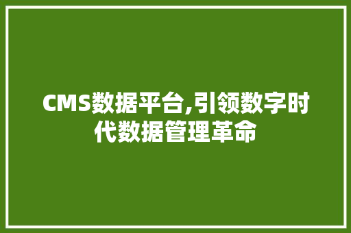 CMS数据平台,引领数字时代数据管理革命 GoogleSEO